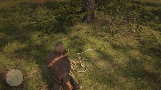 A Mystery Of Love & Tragedy! Red Dead Redemption 2 Secrets [RDR2]