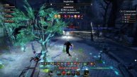 The Elder Scrolls Online - Hybrid PVP Healer Build - 2023