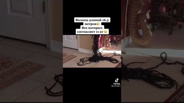 Волосы длинной 16,6 мет и весом 11кг. Самые длинные и тяжёлые волосы в мире