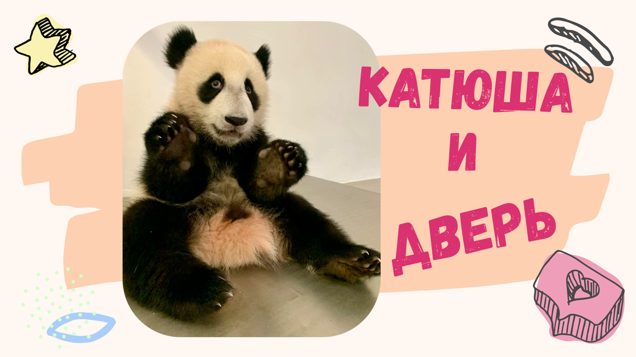 Московский зоопарк | Панда | Катюша и дверь