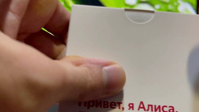 Борис и жизнь на четырех колесах! Умная колонка на минималках! Яндекс.Станция Лайт
