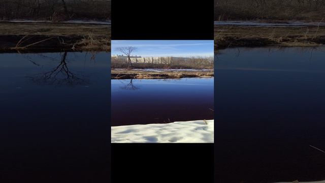 Река Поля в г.Рошаль, 31.03.24.
