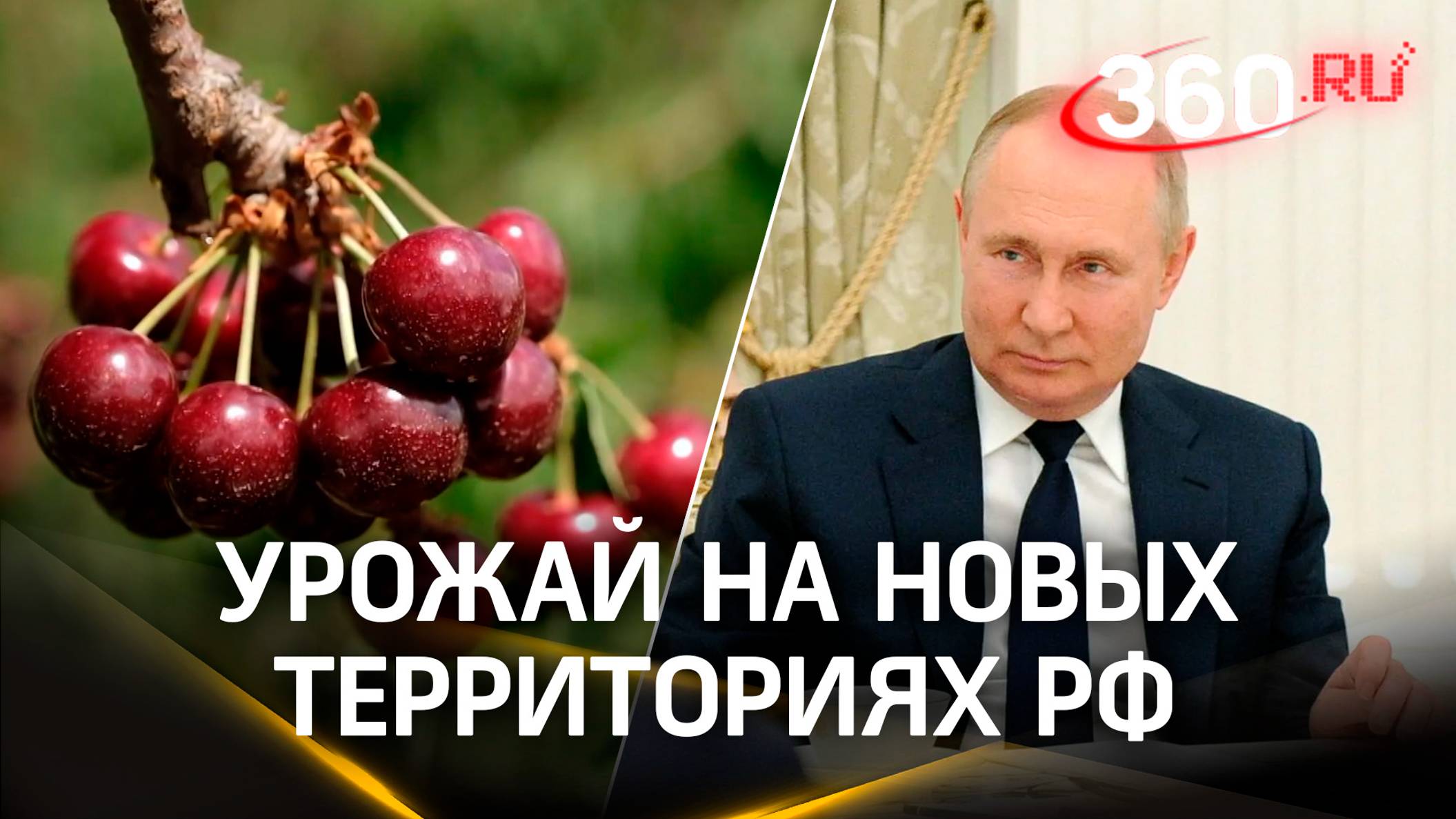 Арбузы Херсона и запорожская черешня: Путину рассказали об урожае на новых территориях