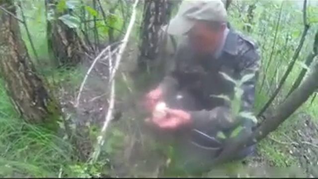 После дождя пошли за грибами  After the rain went to pick mushrooms
