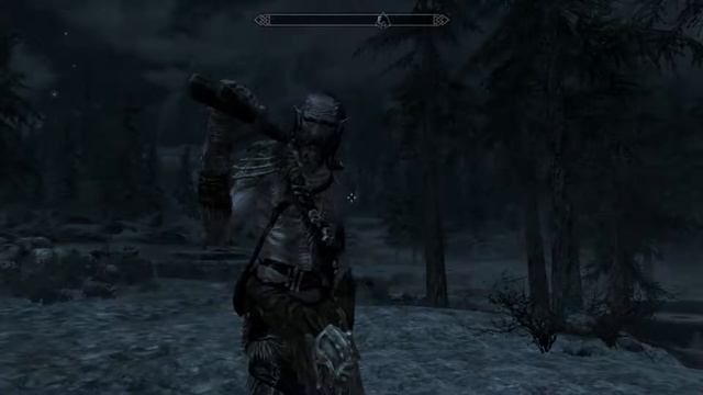 Skyrim Screen shots hd