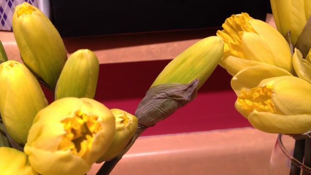 Moving Daffodils