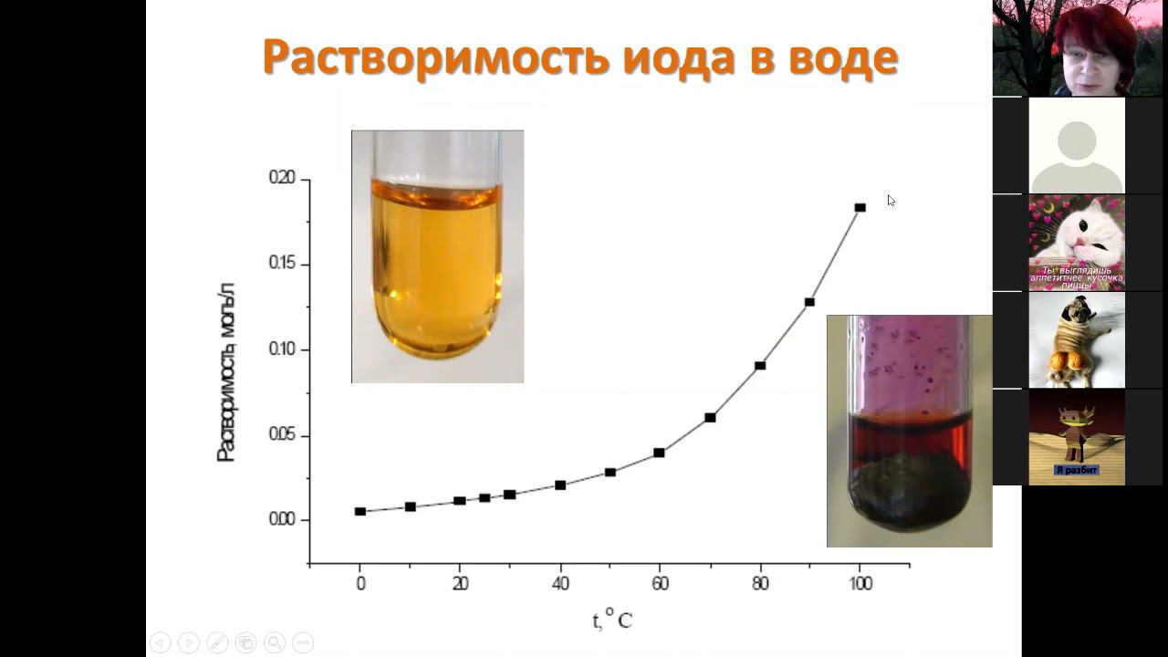 03 Галогены 3 растворение