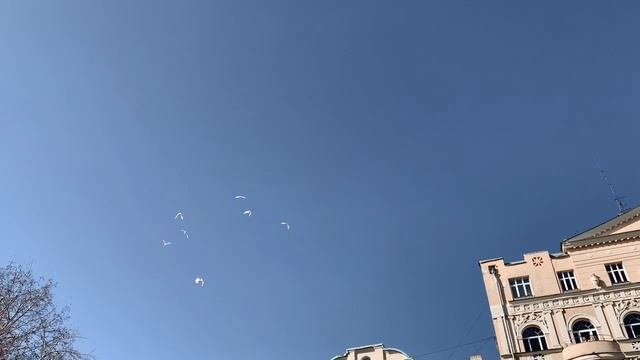 Выпуск птиц на праздник Благовещения Пресвятой Богородицы!