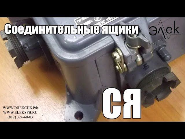 Ящик СЯ купить, видео обзор соединительных ящиков #Элекспб #ЯщикСя #СоединительныйЯщик