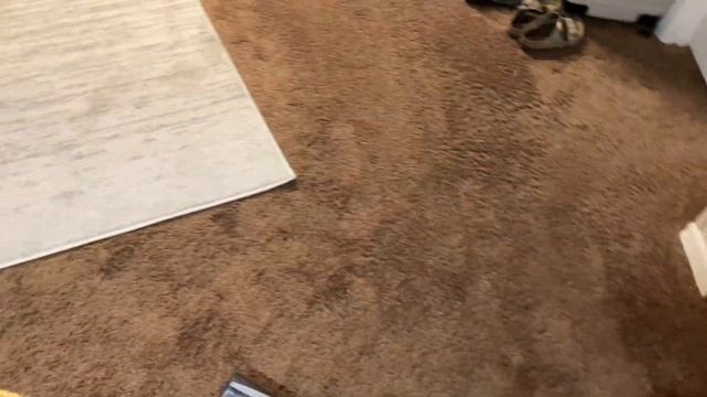Shark Rocket Ultra-Light Vacuum (HV301) Review