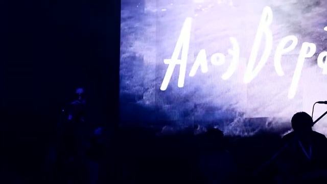 АлоэВера - Несуразная 190518