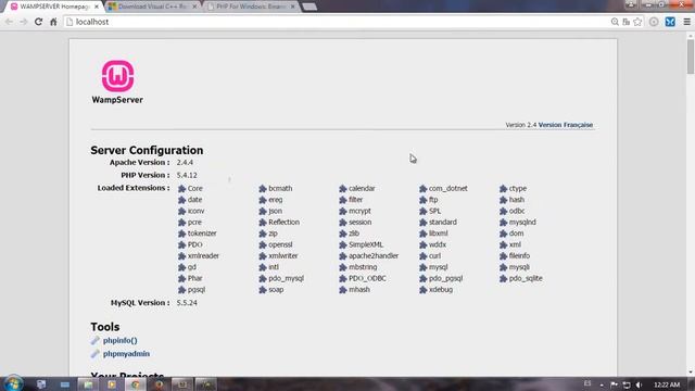 wampseerver update php