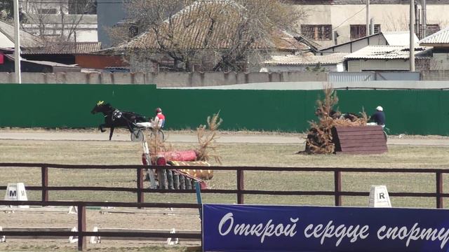 30.04.2022г.Абакан Приз в честь дня Победы для лошадей 4-х лет рысистых пород 1600 м