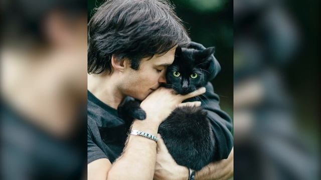 "Кошкина пижама" Рэй Бредбери