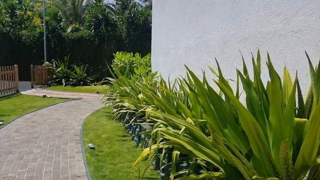 ? Шри-ланка Самый Дорогой Отель Araliya Beach Resort Spa Unawatuna Завтрак Не попала На Массаж