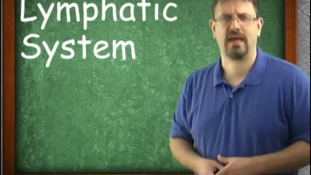 Lymphatic System : Introduction To The Lymphatic System (15:01)
