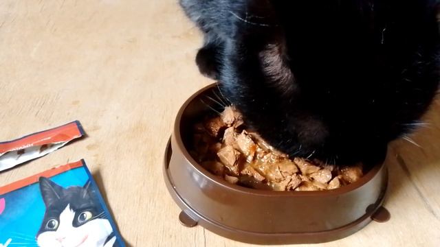 корм для кошек felix- говядина в соусе с томатами