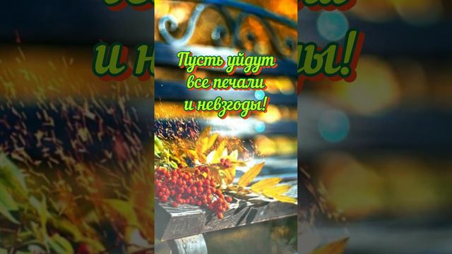 С добрым сентябрьским утром! 🍁#доброеутро#листьяжгут#боярский#shorts