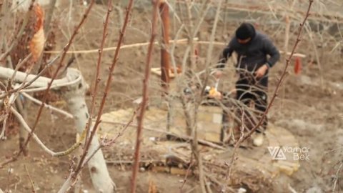 Какие блюда можно приготовить только из тыквы | Yashar Bek