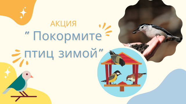 Акция "Покормите птиц зимой"