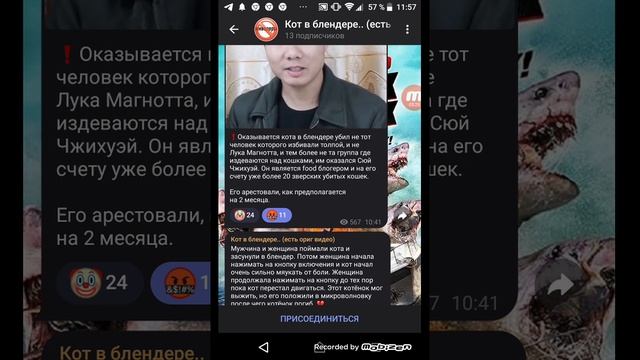 кот в блендере ужасы телеграма и тик тока