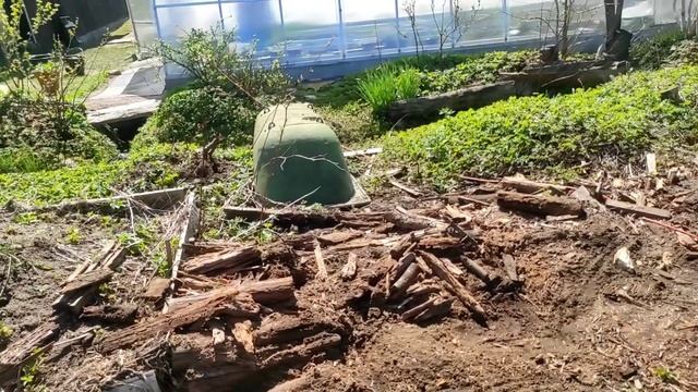 14.05.22.Дача..Петунии и Калибрахоа рассаживаю по кашпо ?