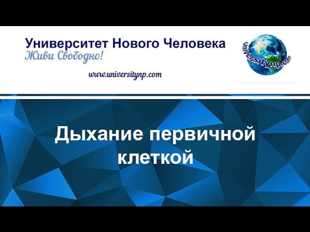 Дыхание Первичной Клеткой Сознания. Последний сеанс