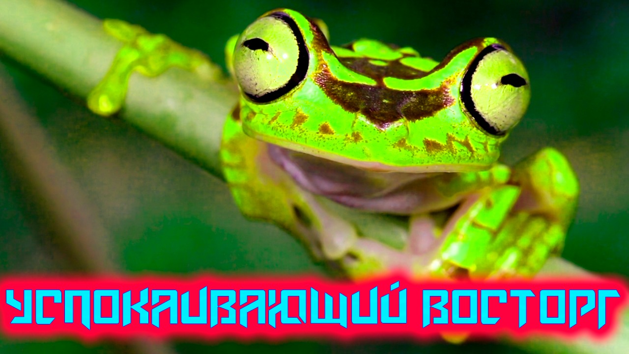 Релакс музыка, музыка для сна, музыка для снятия стресса,  музыка для медитации, учебы