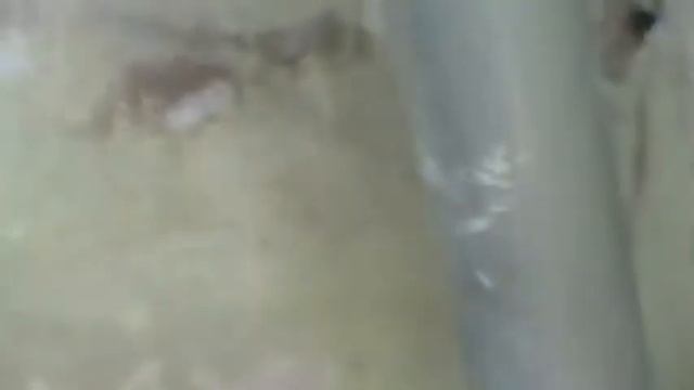 фасад  ремонт венца.
