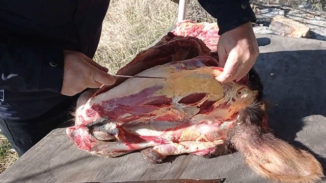 Разделка ГОВЯЖИЙ головы / Мясо из Говяжий головы