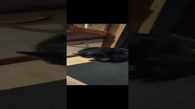 1000003057.mp4