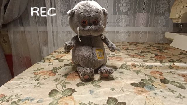 БАСИК КУПАЕТСЯ?! ночной влог