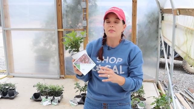 New Shrubs & Final Concrete Installed | Gardening With Creekside