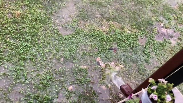 #потоп / Тропический ливень на юге/ Бассейн во дворе/ Огород уплывает