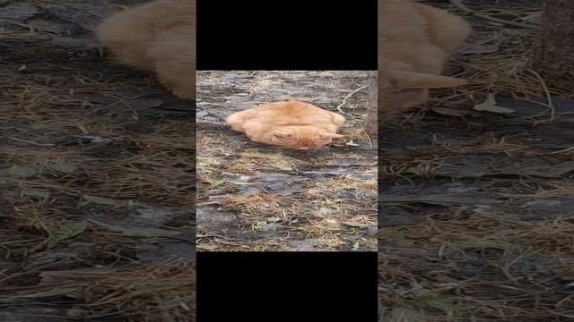 20240229_120653(1)