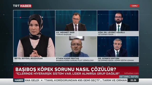 Mehmet Sarı Levent Uğurlu Kadri Pektaş Gürbüz Ertürk Betül Soysal Bozdoğan ; Haftanın Z Raporu...