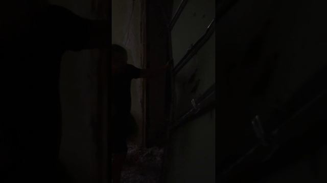 Ор, ДЦП делает ремонт в хате