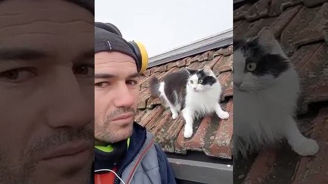 Разговор с катом