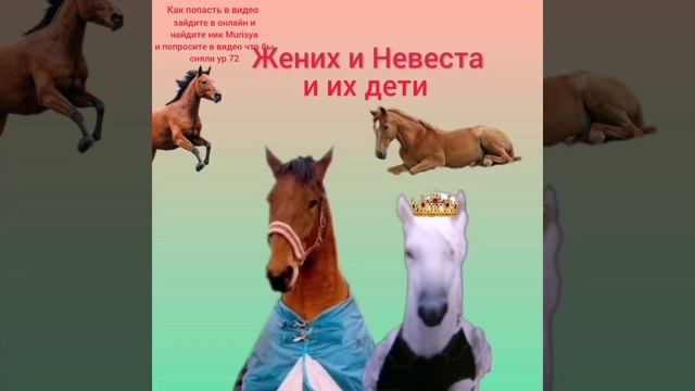 хотите поиграть пишите ник и уровень и конечно питомца я например волк? а питонеци попугай ?