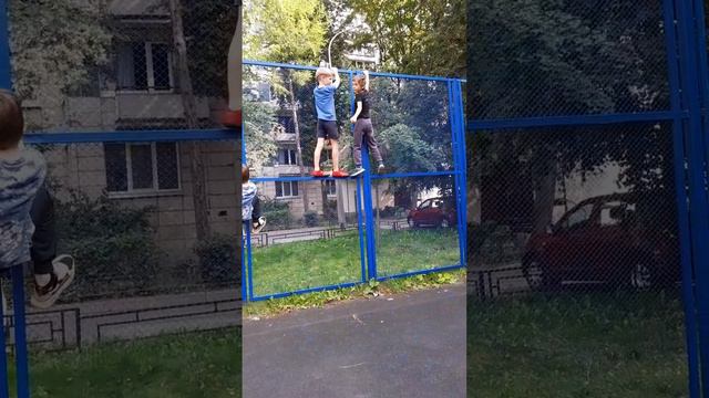 пауки теперь такие