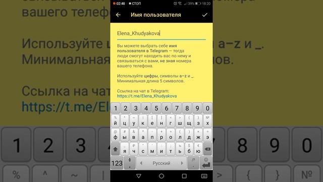 Работа в приложении Telegram или Plus Messendger