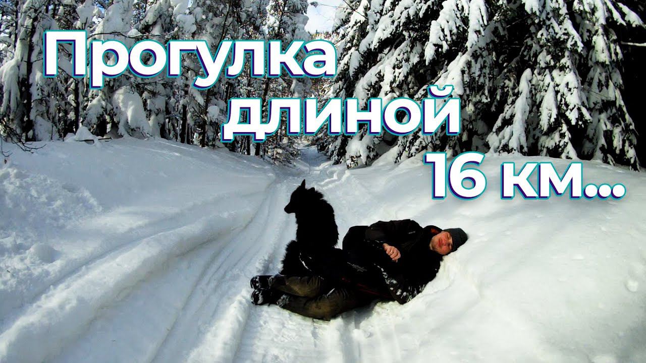 Поход на грязевой вулкан от п. Ключи