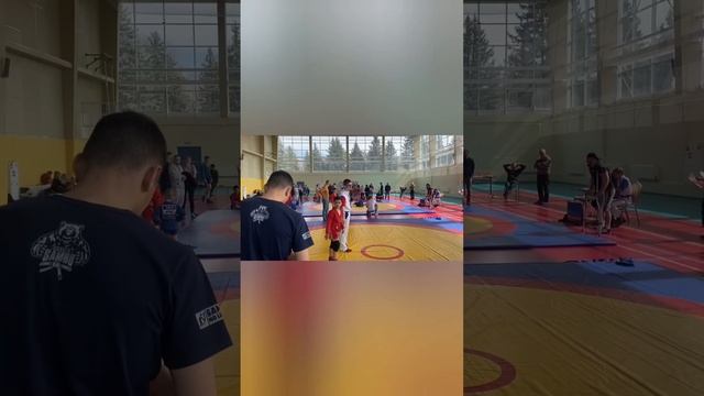 ?Мехрон ?САМБО.