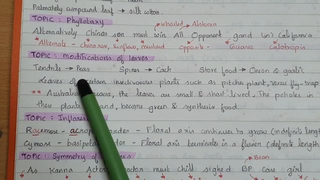 Morphology Of Flowering Plants || CLASS 11/NEET/AIIMS