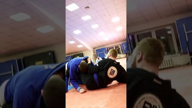 BRAZILIAN JIU-JITSU ACADEMY