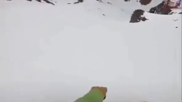 Пёсик, может обратно?