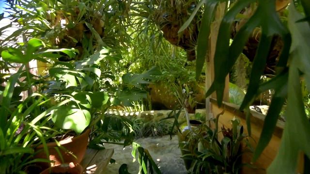 Leon Kluge Landscape Design, Klein Constantia Garden