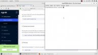 How to publicly expose a URL for a local web server by using a free tool | ngrok