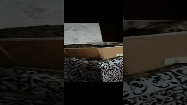 Любимая коробка.mp4