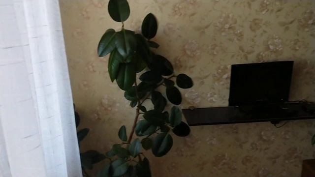 1 к.кв. 38 м2. этаж 16/17. г. Краснодар, Пашковский, ул. Фадеева. Кухня.